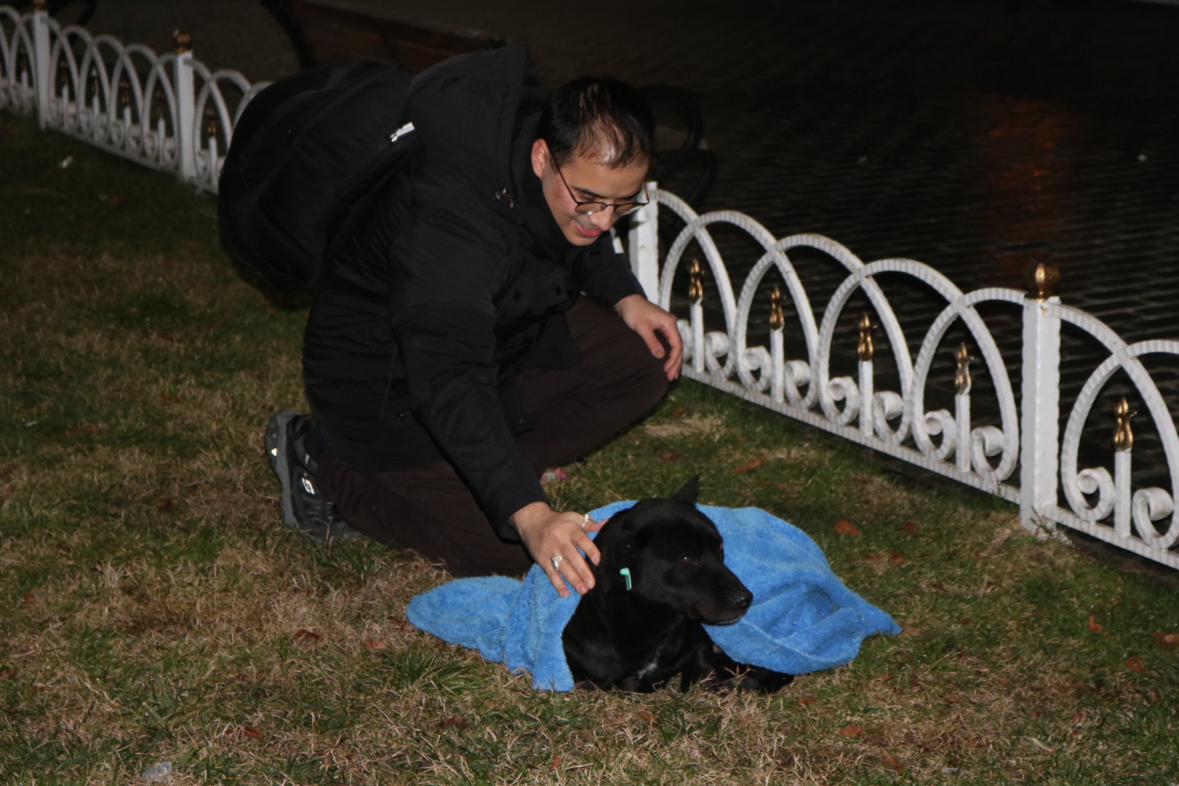 FOTO | Un medic stomatolog învelește cu pături animalele de pe stradă pentru ca ele nu moară de frig