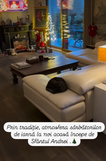 Imagini din casa Andreei Marin, decorată de Crăciun. În sufragerie are mai mulți brazi împodobiți, iar masa festivă e gata
