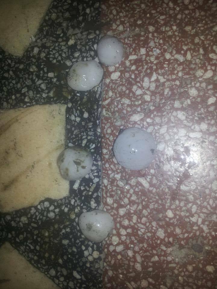 FOTO - Grindină de mărimea unui ou de porumbel azi noapte, în județul Buzău. Mărturii ale localnicilor surprinși de fenomen