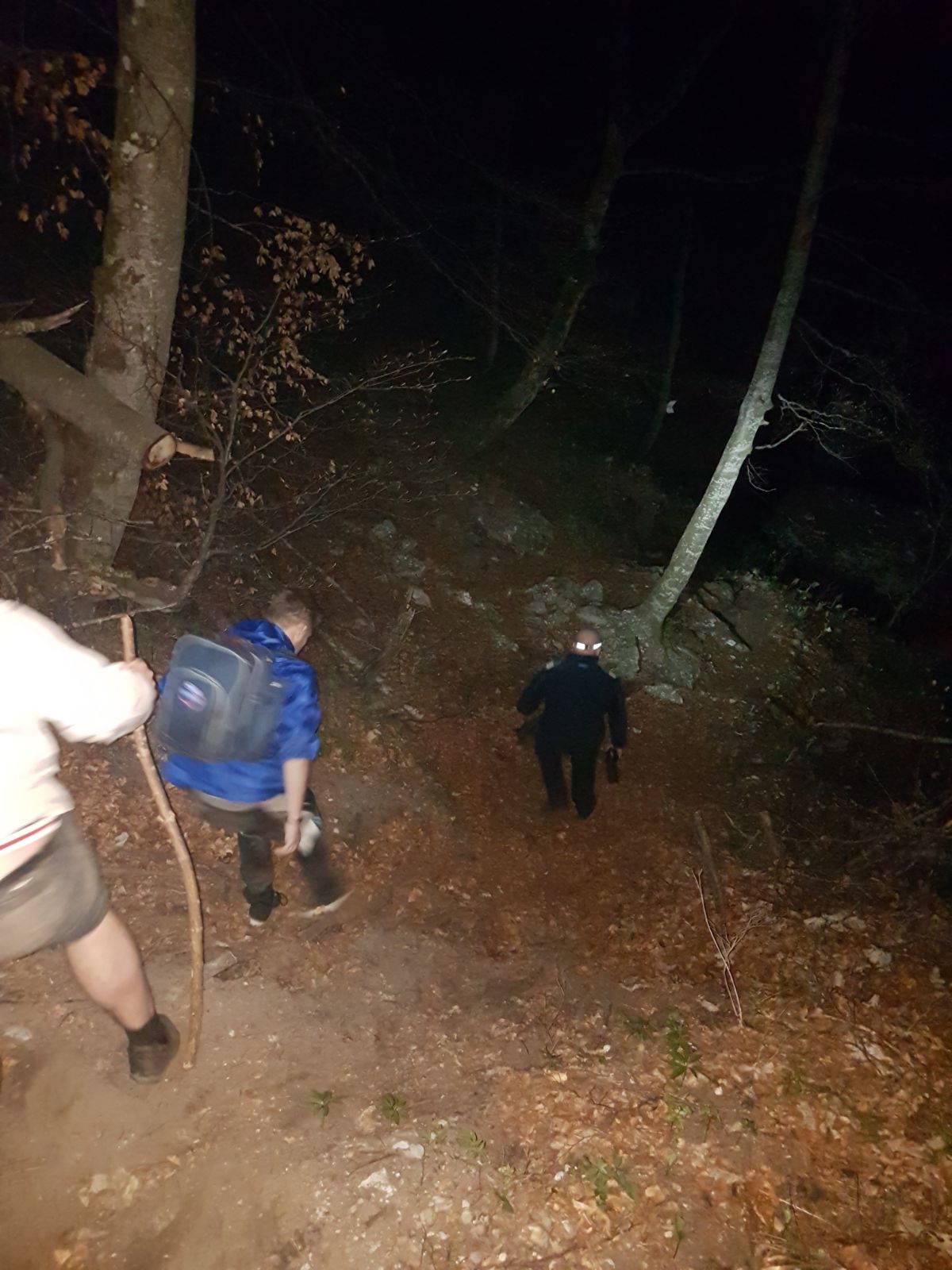 Doi turişti care s-au întâlnit cu un urs pe un traseu din Bucegi au stat o oră căţăraţi într-un brad