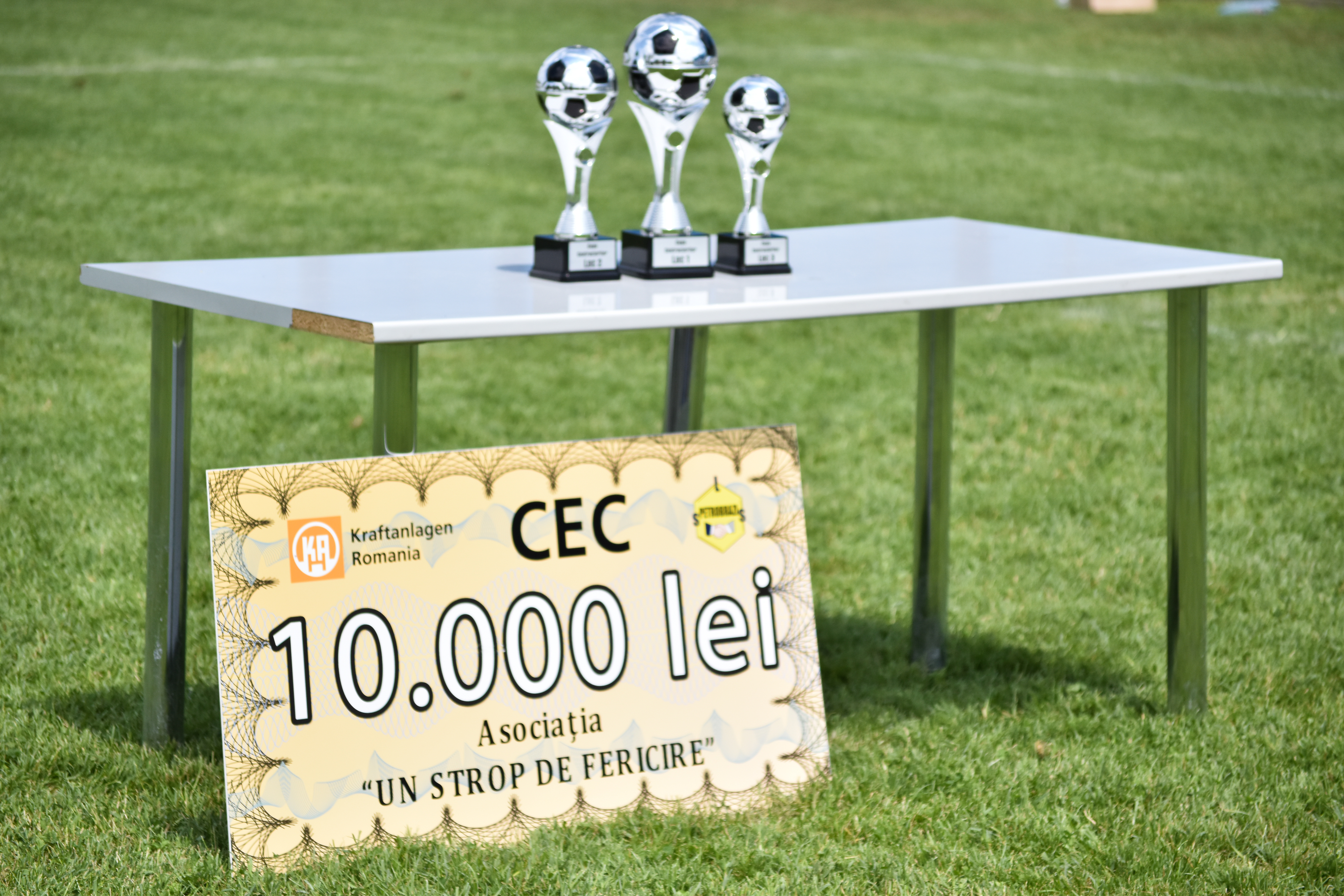 "Cupa Contractorilor" la minifotbal şi-a desemnat câştigătorii. Banii strânşi, donaţi copiilor cu probleme