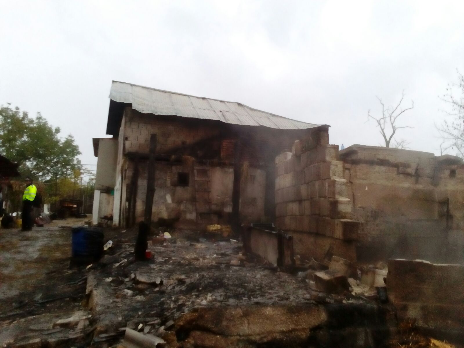 Incendiu de proporţii într-o comună din Olt! A muşcat-o calul în timp ce îl scotea din flăcări GALERIE FOTO