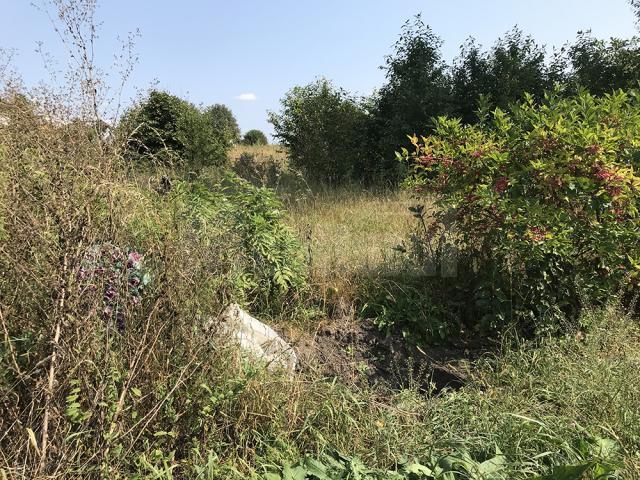 VIDEO/ Mii de copii morți de la Orfelinatul Groazei din Siret sunt îngropați în Cimitirul Inocenților, care acum e plin de bălării