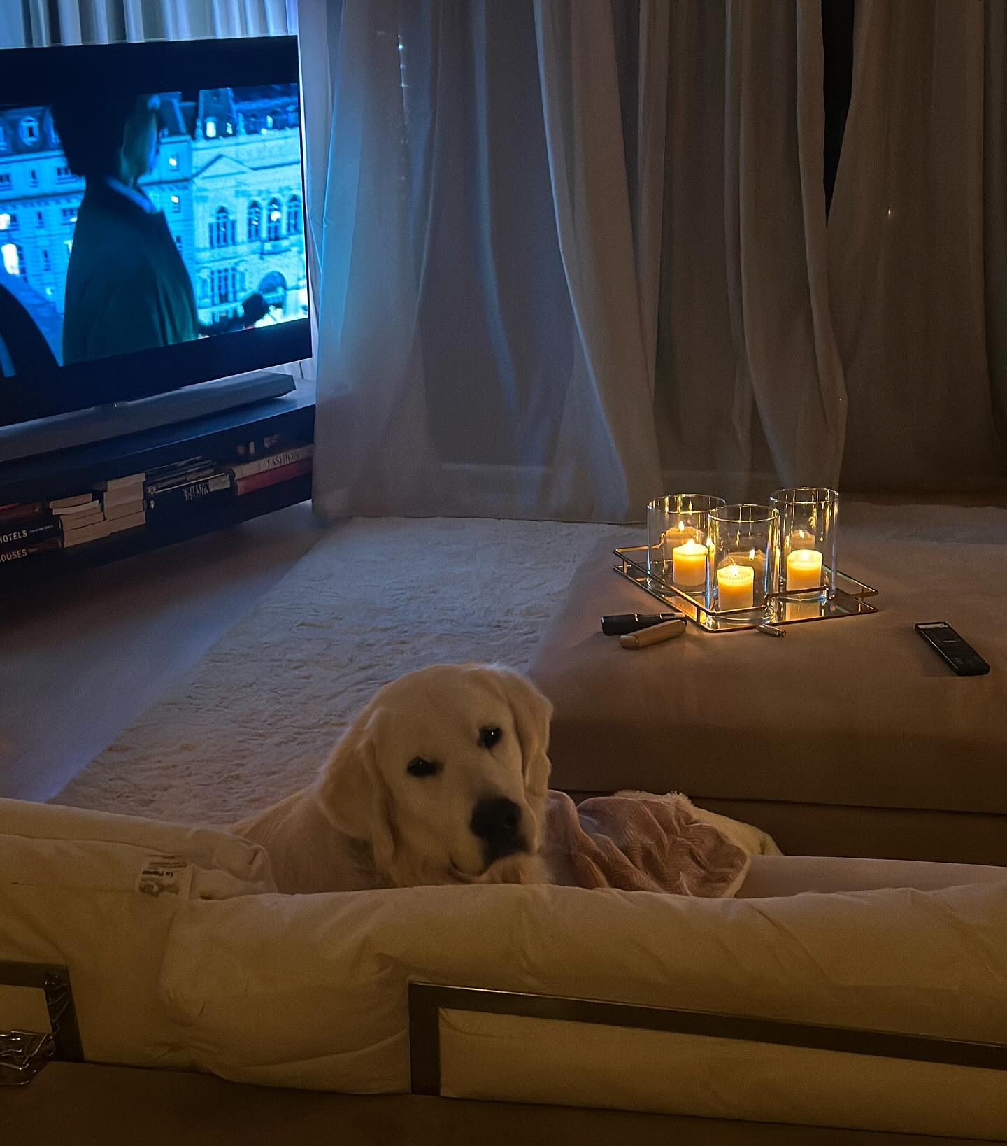 Imagini din casa în care locuiește Andreea Raicu. Vila vedetei este o adevărată comoară