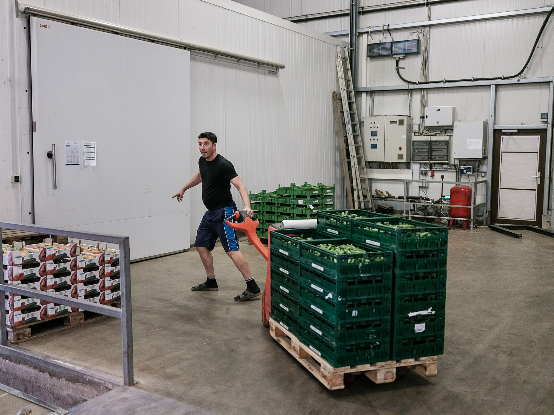 Reportaj din Germania | Părinți și copii despărțiți de granițe: “Avem de toate aici, în afară de copii” și “Când dă prima zăpadă, vine tati meu acasă”﻿