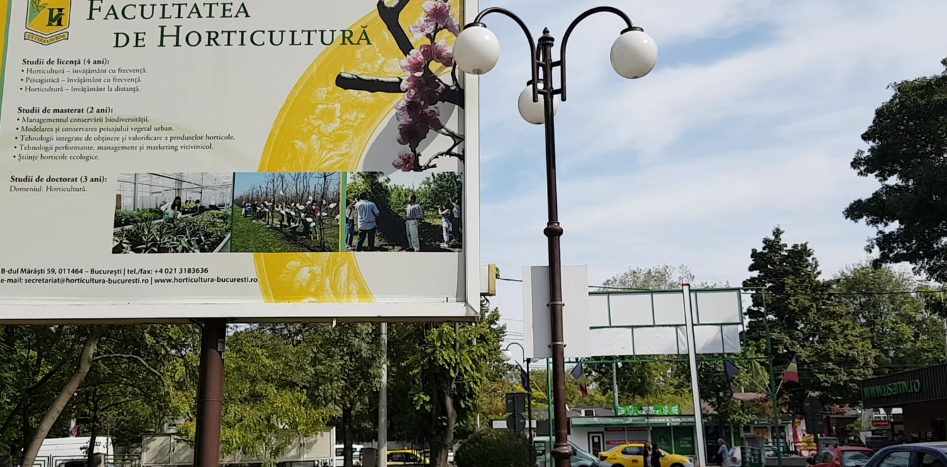 VIDEO/ Fructele exotice se aclimatizează în România. Țăranii vor avea ferme de kiwi. Frunzele sunt bune pentru sarmale