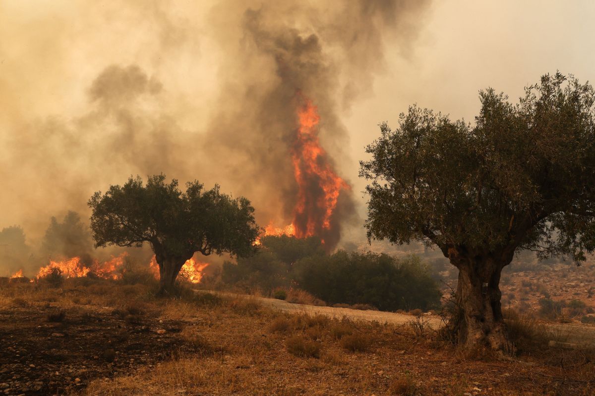 Aproape 3.500 de hectare au fost afectate până acum de incediul din regiunea grecească Attica. Situația rămâne dificilă în insula Rodos