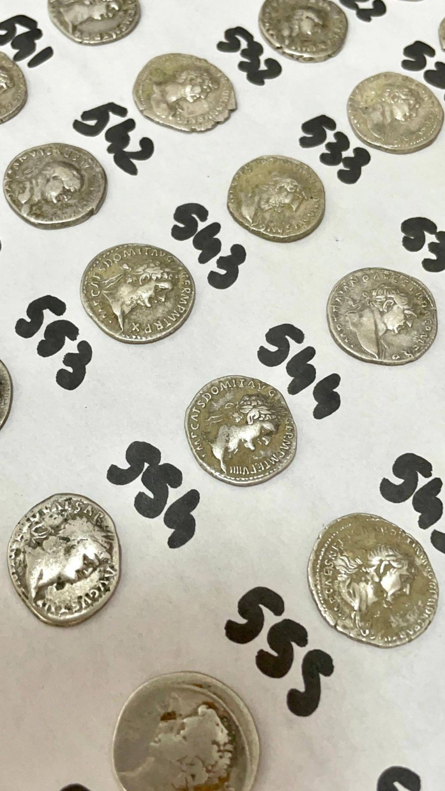 Comoară veche de 2.000 de ani, descoperită întâmplător, în Botoșani: aproape 600 de monede de argint și șase brățări dacice, printre artefactele găsite