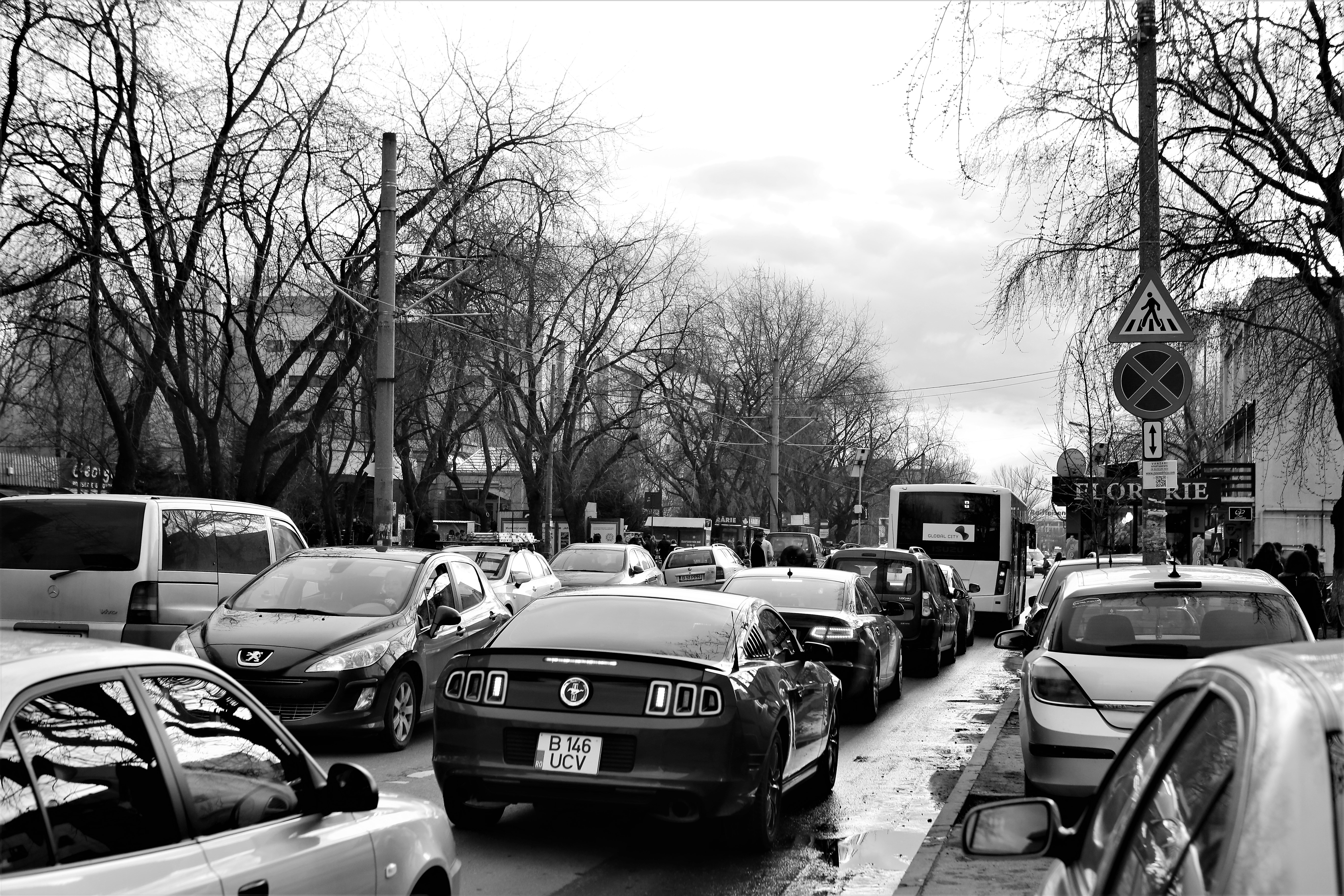 FOTOREPORTAJ | #salvatipipera, între ALB și NEGRU