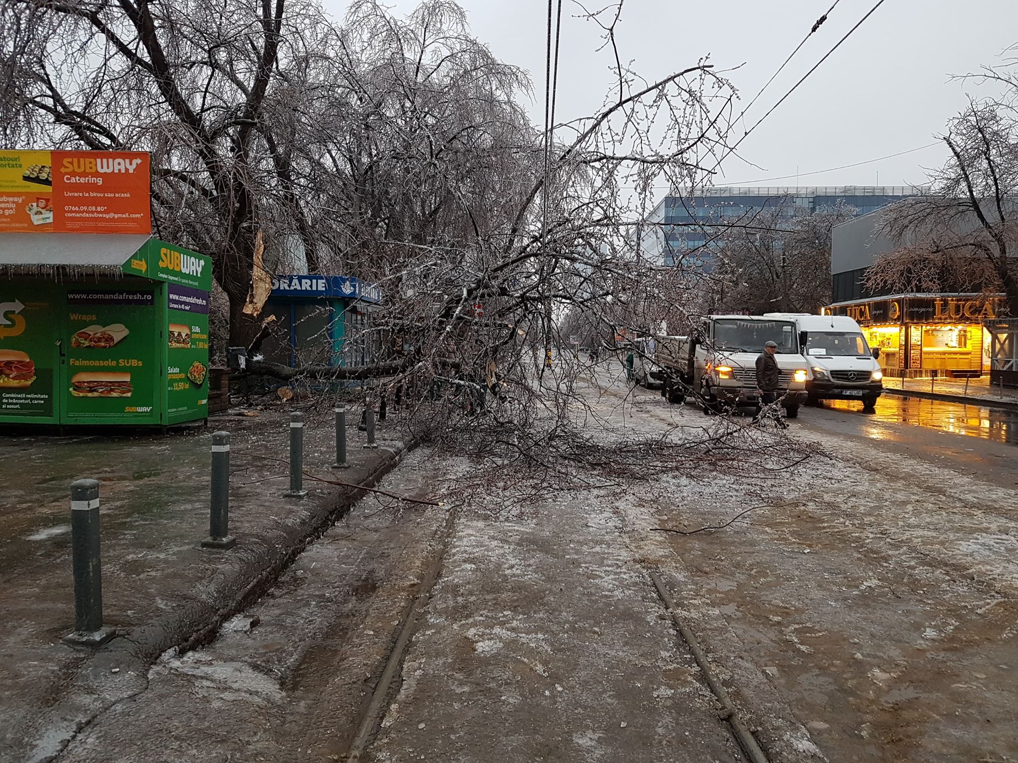 FOTO | Vremea face ravagii: Zeci de copaci doborâţi de vânt și gheață în Bucureşti și 49 de maşini avariate, în ultimele ore. Circulaţia pe anumite linii a tramvaielor şi a troleibuzelor, blocată
