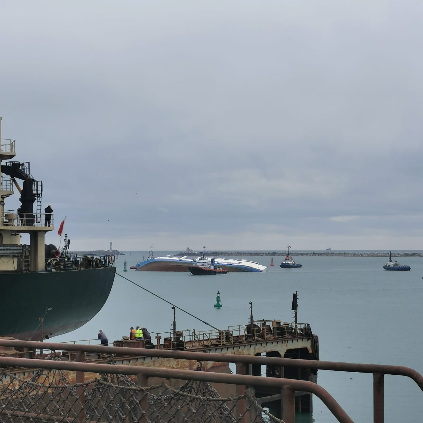 O navă care transporta mii de oi este în pericol de scufundare, în Portul Midia. Cum s-a intervenit pentru salvarea marinarilor