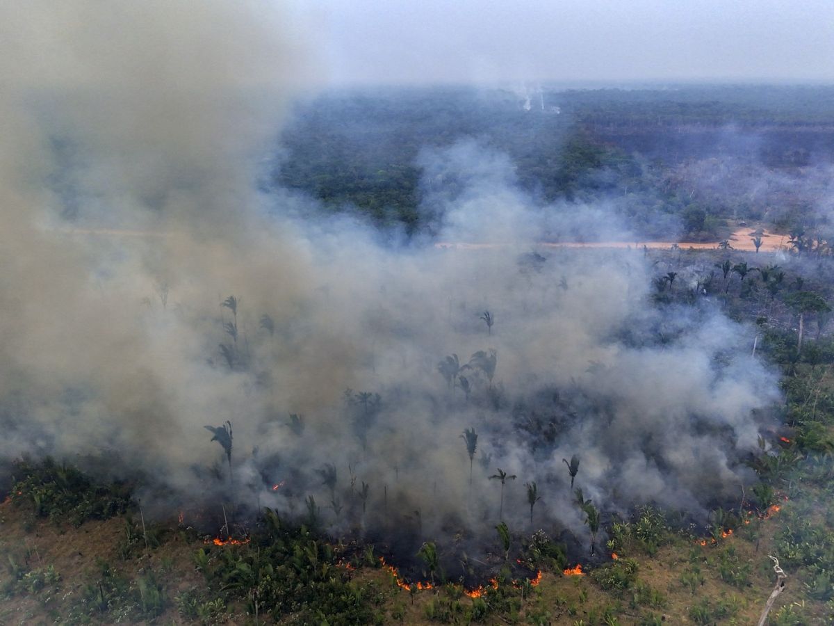Șapte morți, între ei trei pompieri, și 40 de răniți, în incendiile de vegetație din Portugalia. Guvernul a declarat situație de „calamitate”