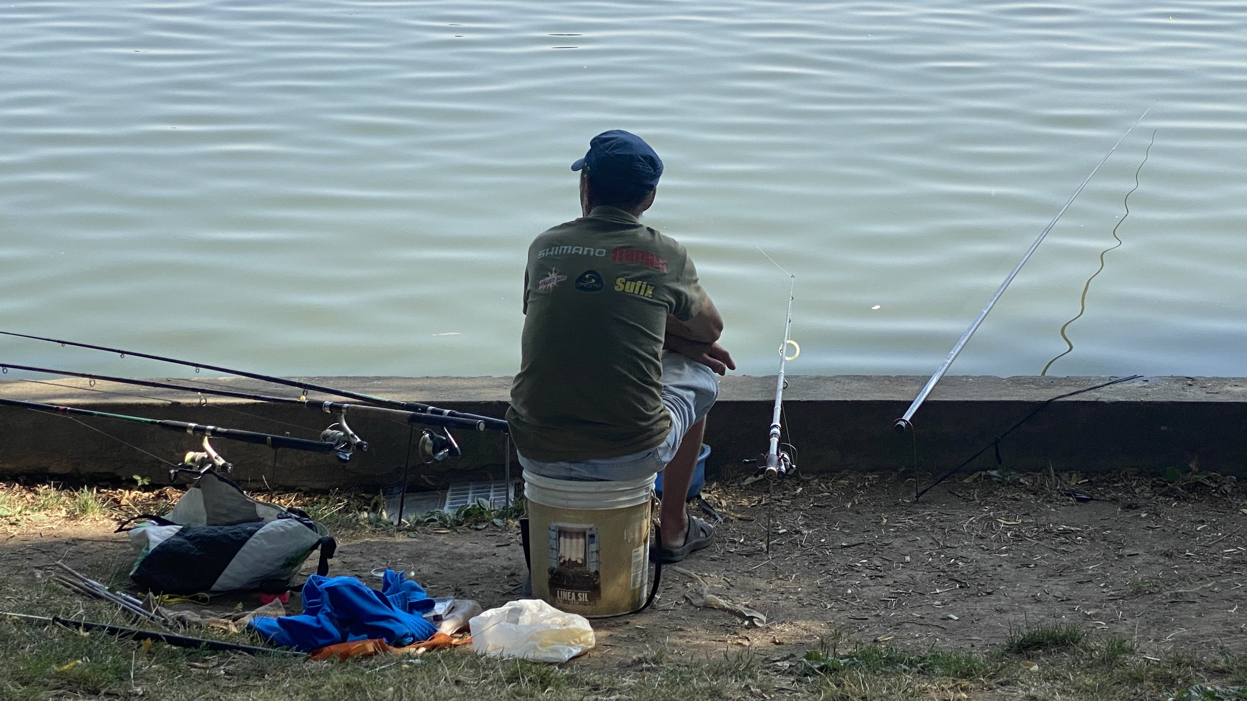 FOTO. Herăstrău, cel mai mare parc al Bucureștiului, arată mai rău ca niciodată. Trandafirii și zonele cu flori sunt istorie, clădirile pentru expoziții au fost vandalizate
