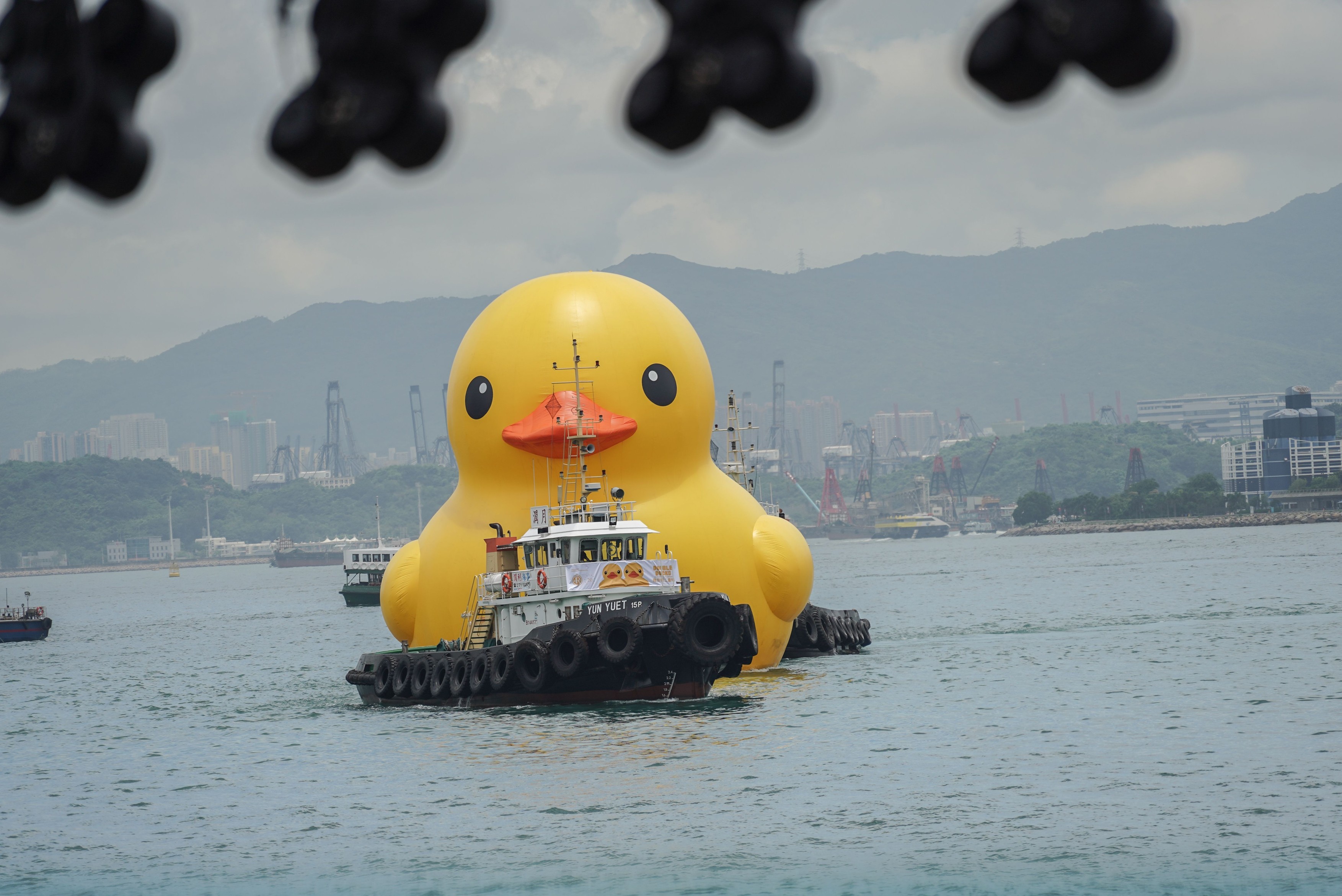 Apariție inedită într-un port: două rațe uriașe gonflabile, pentru „fericirea dublă” a locuitorilor din Hong Kong