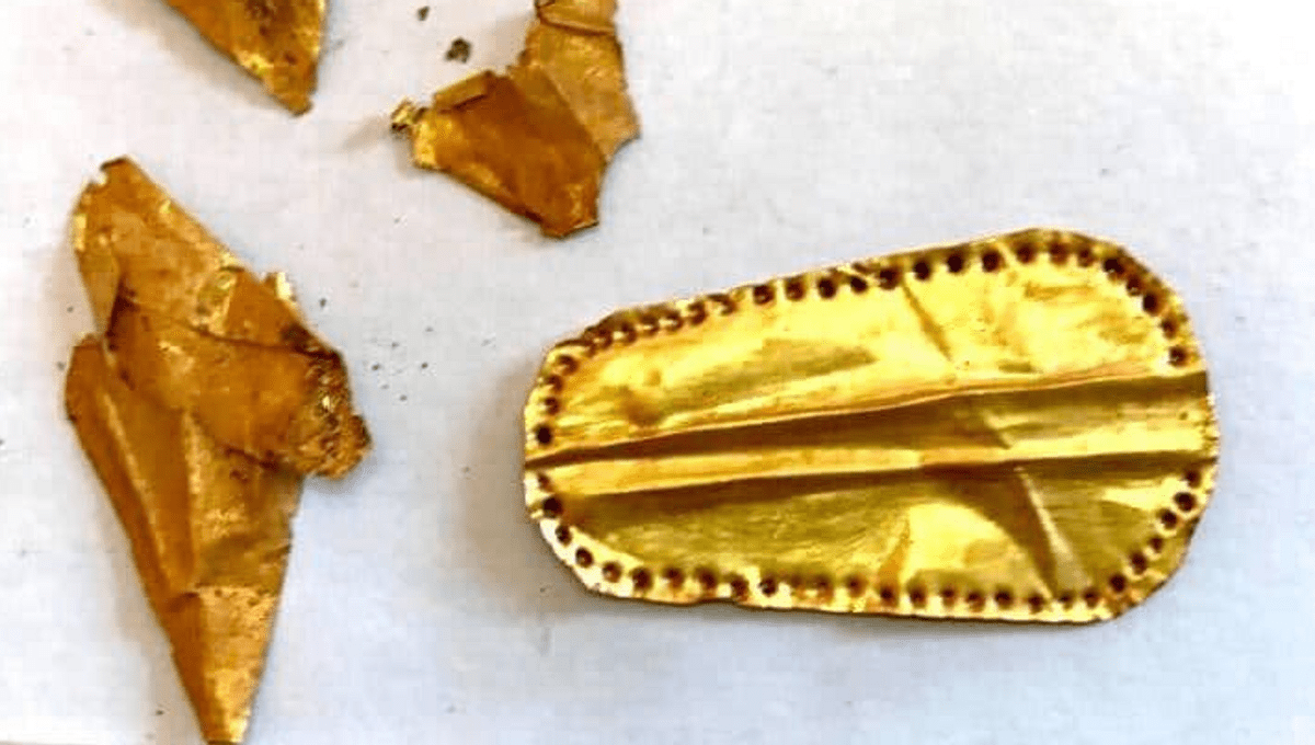 A 40-year-old excavation just uncovered rare Egyptian artifacts, including golden tongues