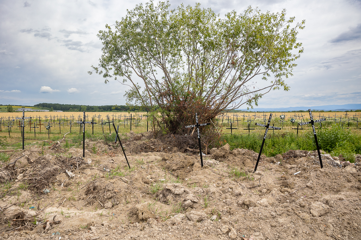 Cimitirul cu necunoscuți din Dumbrava. Viorel Pașca: „Toată lumea, indiferent de religie, are cruce la fel. Ca să nu se supere niciunul”
