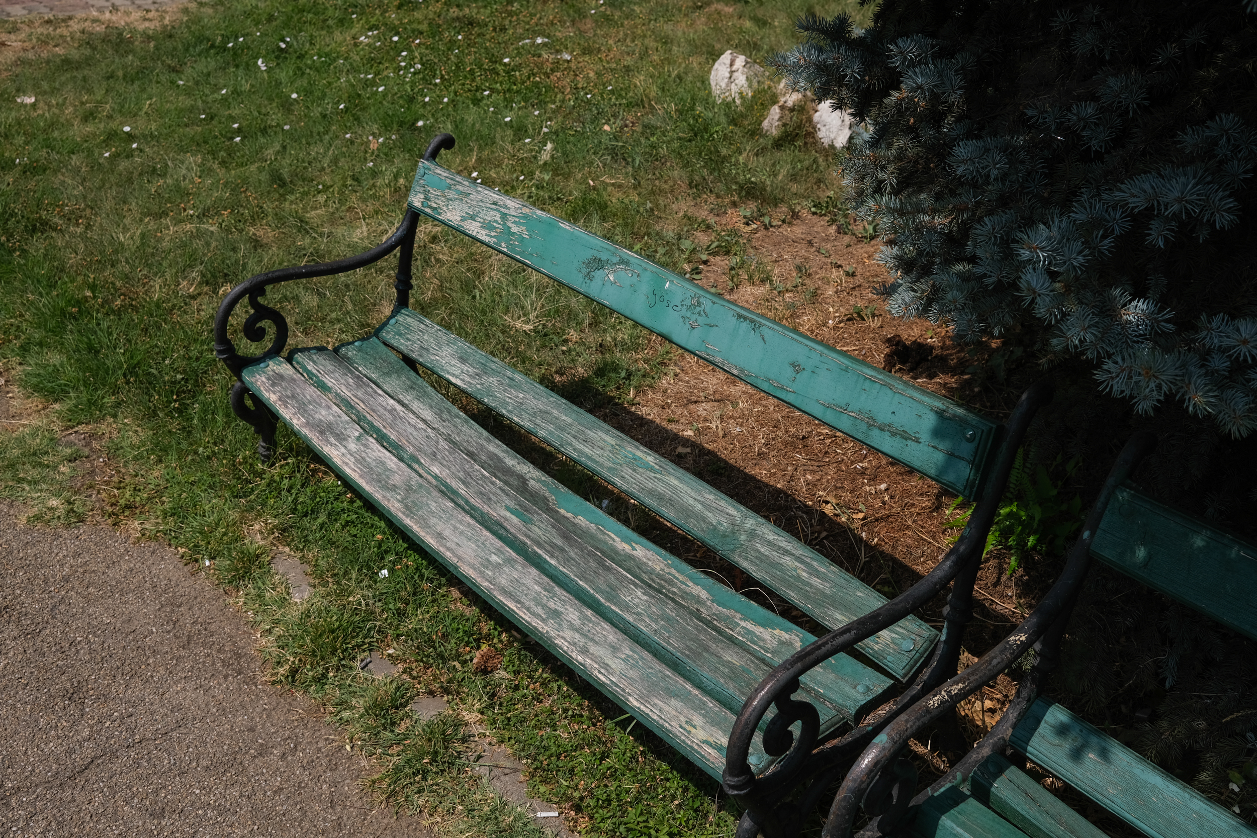 Parcul Herăstrău, degradarea continuă. Bănci rupte, iarbă lipsă, alei crăpate și arteziene fără apă