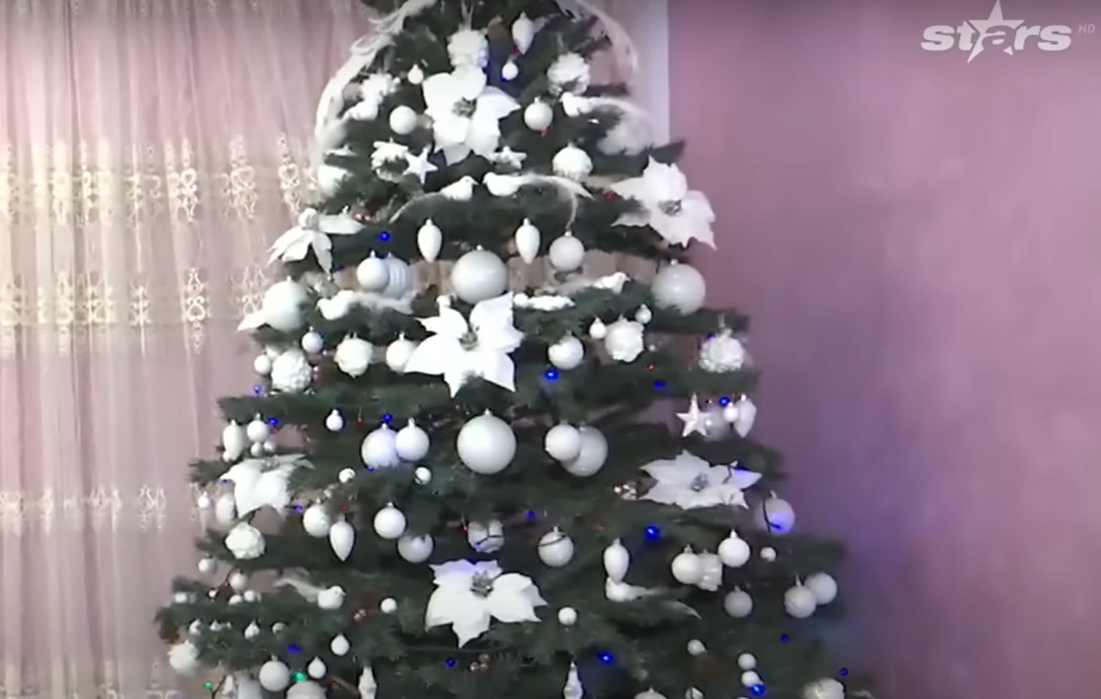 Imagini din casa Medanei și a lui Alin Oprea, decorată de Crăciun. Au împodobit mai mulți brazi, unul chiar și în bucătărie