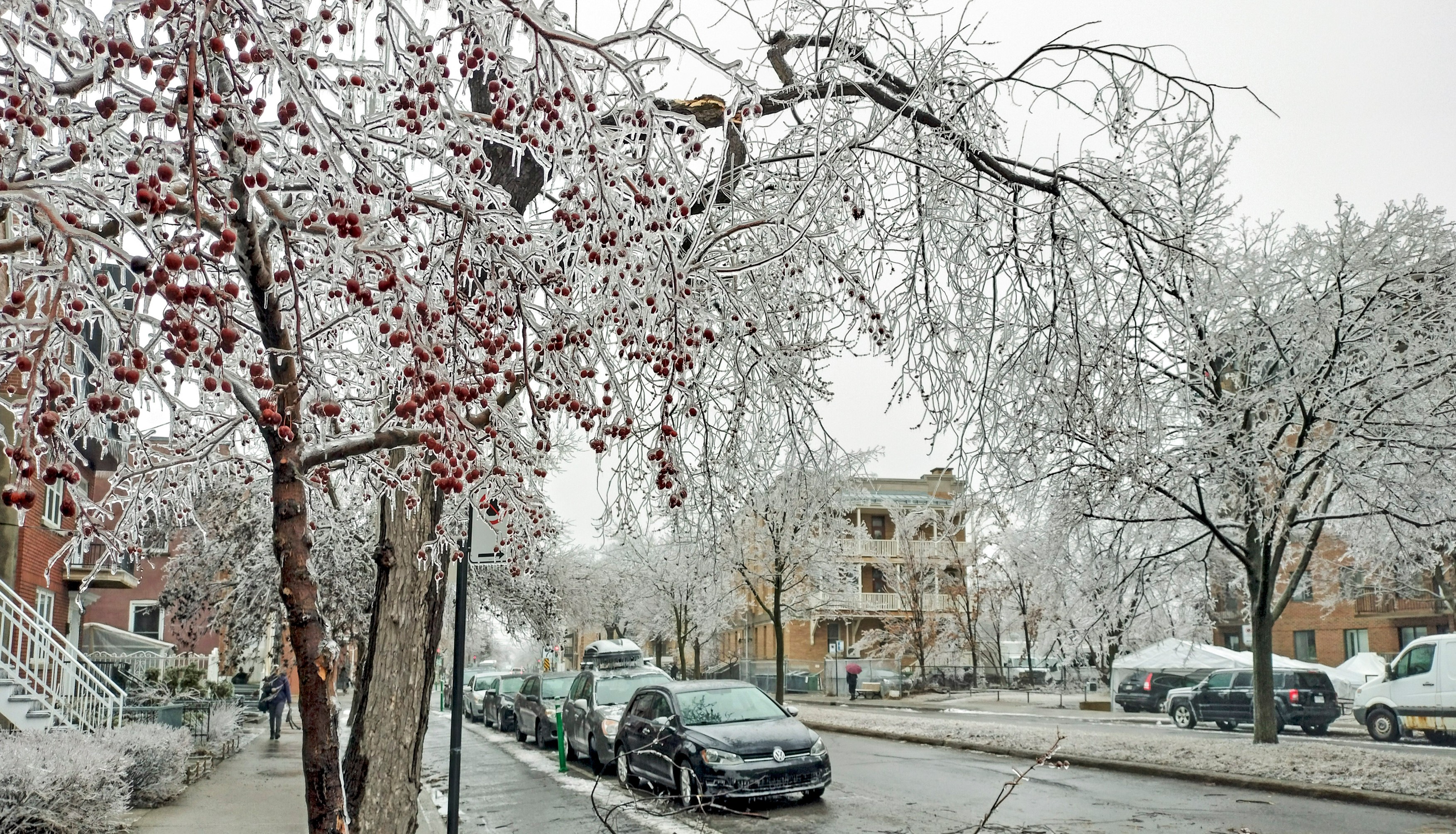 Doi morţi şi peste un milion de oameni fără curent, după ce o furtună de gheaţă a lovit estul Canadei