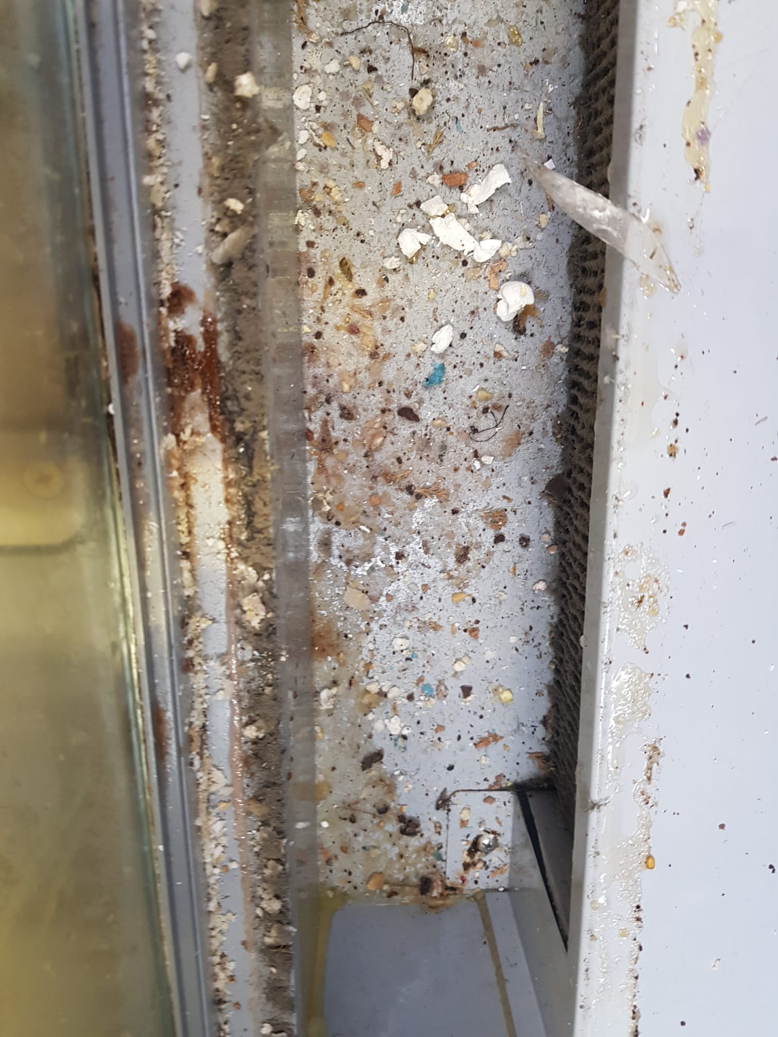 Sute de kilograme de alimente, oprite de la comercializare în două din cele mai populare stațiuni montane. Ce au descoperit inspectorii ANPC