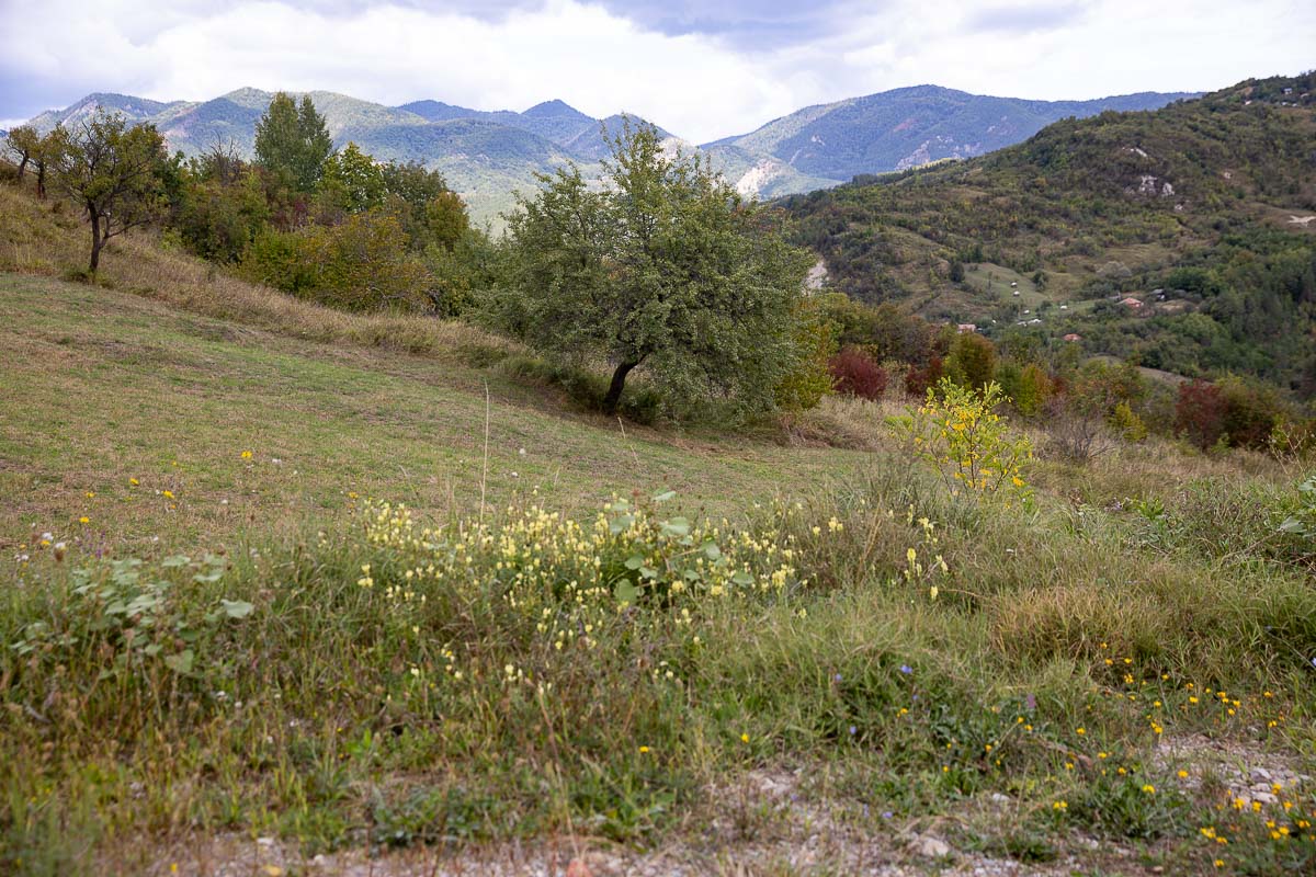 Mănâncă puțin, roagă-te, muncește. Sfaturi de viață lungă de la bătrânii din Ținutul Buzăului
