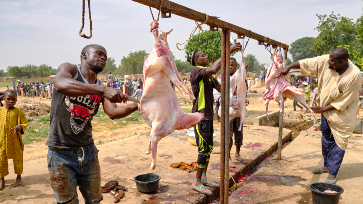 Butcher skinning and cleaning goats for sale at the Birnin Kudu market. [Photo by Jorge Fernández/LightRocket via Getty Images]