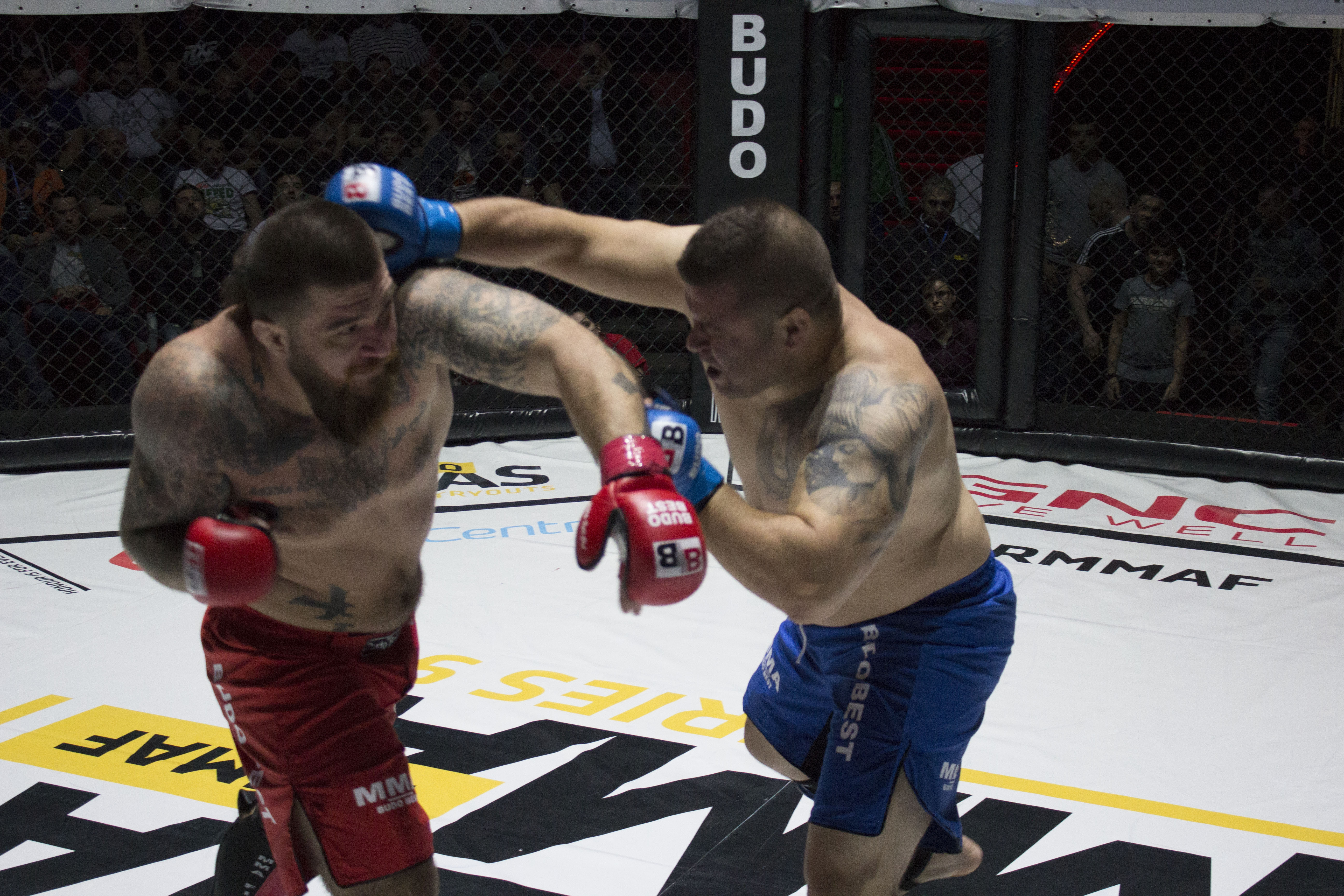 ”Ghiaurul” Radnev s-a apucat de MMA la 31 de ani şi face senzaţie în cuşcă / GALERIE FOTO