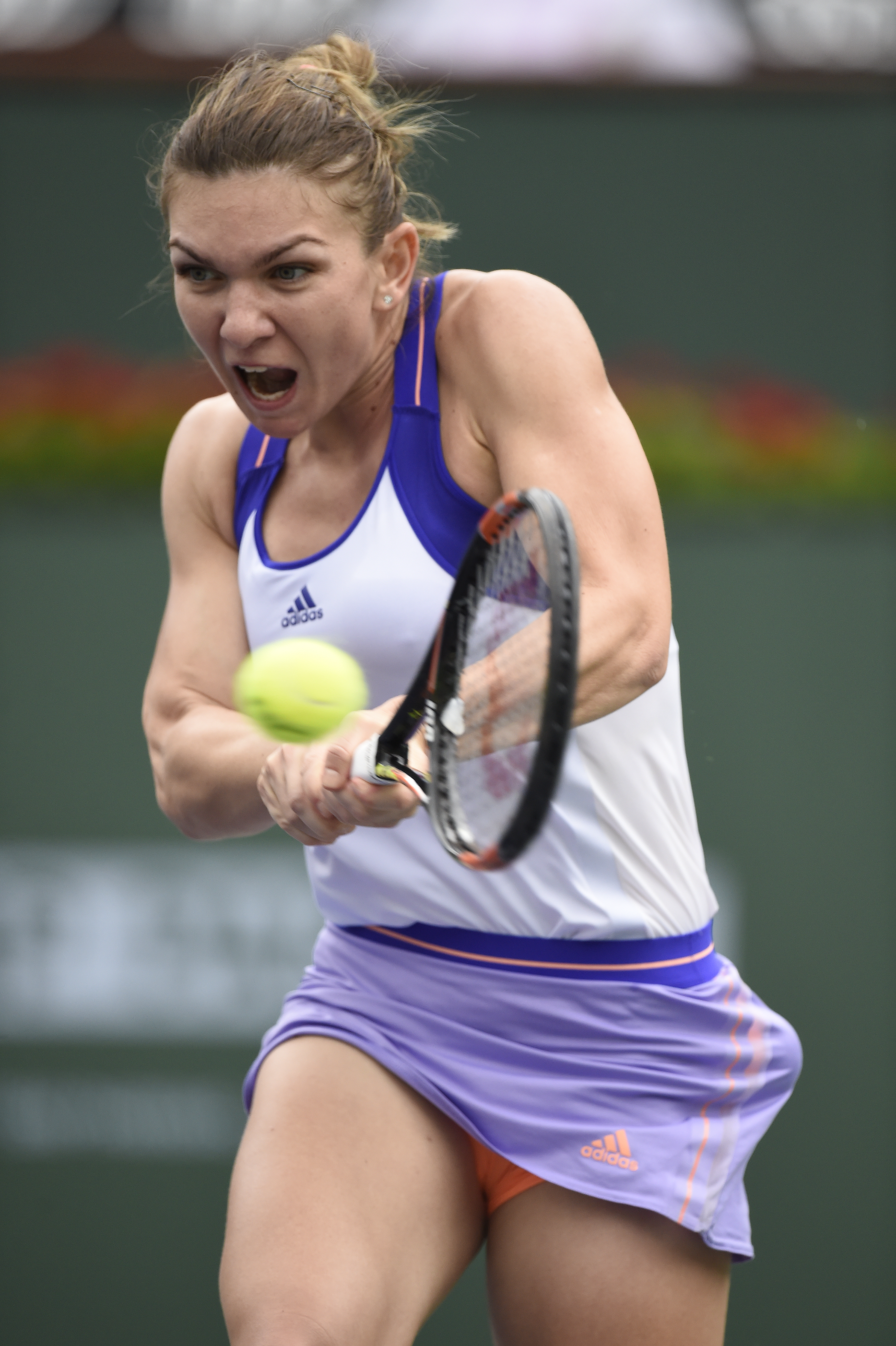 Cum stau cu dragostea Simona Halep și Serena Williams! / GALERIE FOTO