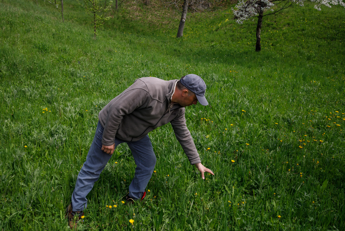 REPORTAJ. Cealaltă versiune a poveștii din Ojdula, satul în care a fost ucis Arthur. „Aici e teroare cu urșii. Trebuia împușcat tot”