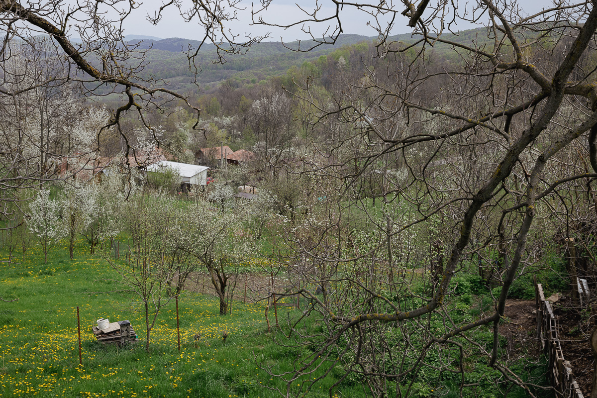 REPORTAJ. Ce spun părinții elevilor de la școala din Prahova care au fost filmați în timp ce simulau acte sexuale în prezența profesoarei de engleză: „Telefoanele sunt de vină!”