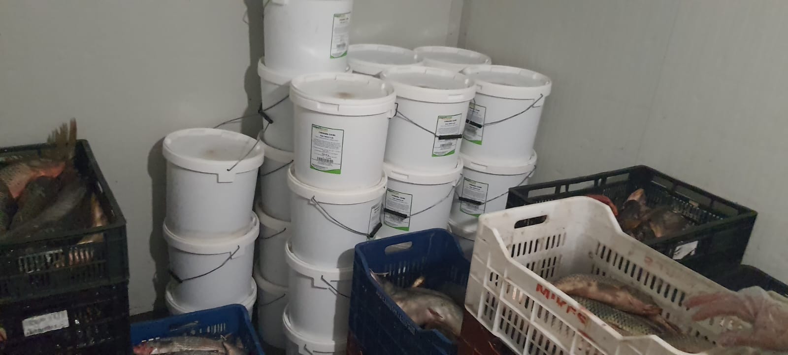 Hala Obor din București, închisă din nou de ANPC. Inspectorii propun suspendarea activității timp de un an