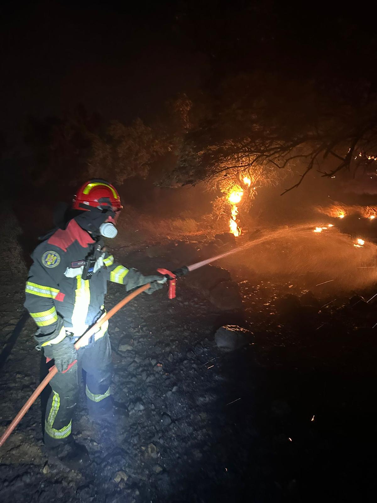 Un nou incendiu violent într-o regiune populară din Grecia. Intervin zeci de pompieri români și cehi