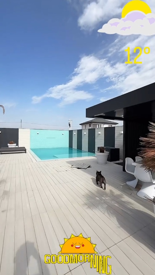 Imagini din curtea casei lui Dorian Popa, decorată cu pietre albe și palmieri. Nu are nici gazon, nici flori: „Am dat drumul la piscinică”