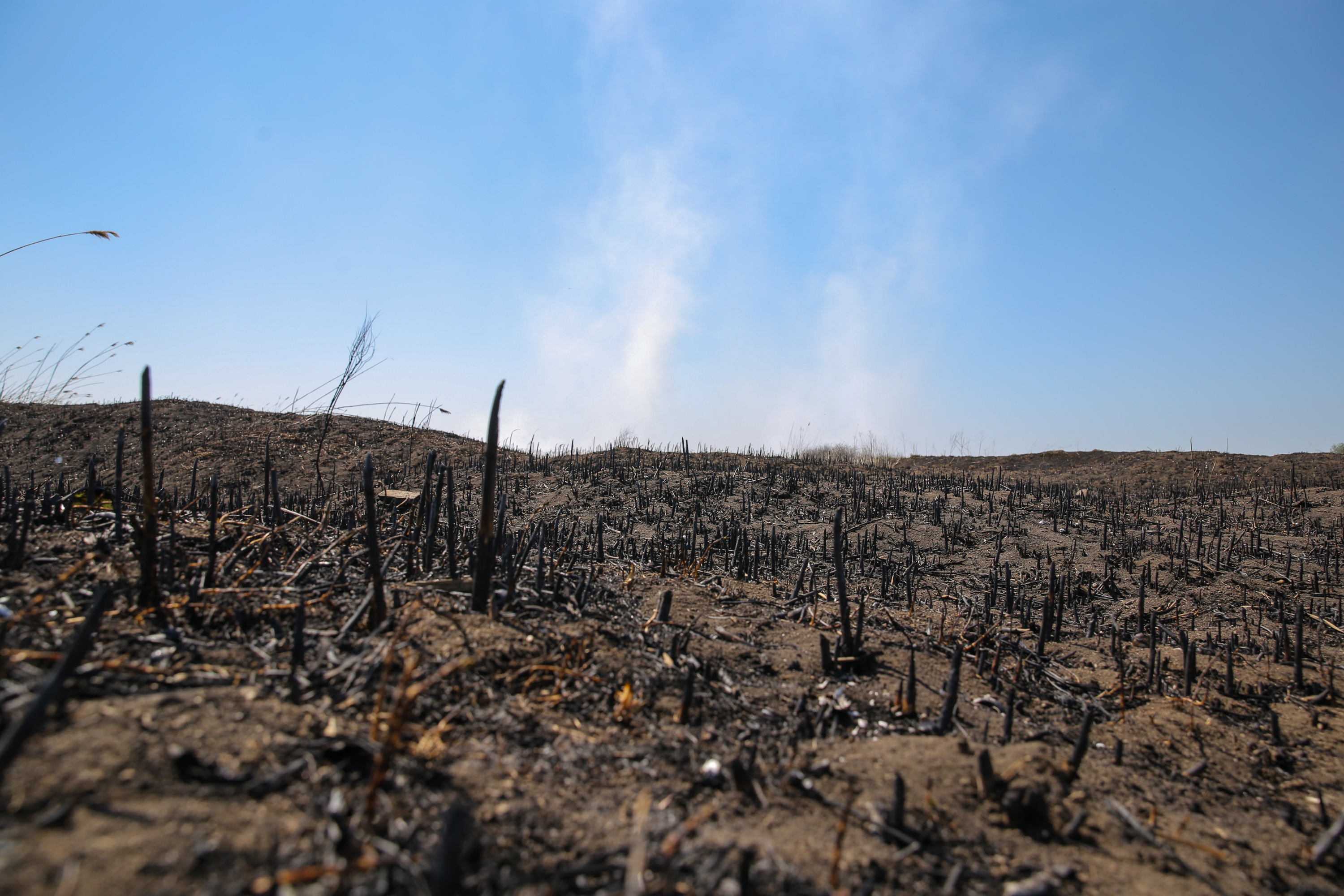Incendiul care a poluat miercuri Bucureștiul. Cum a ajuns fosta fermă de porci din Periș, care a avut legături cu Liviu Dragnea, un dezastru ecologic