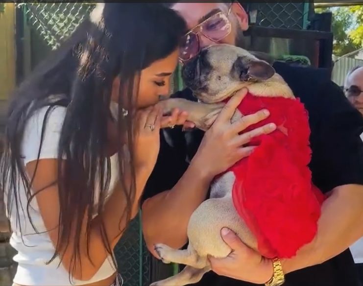 Imagini emoționante cu cățelușa adoptată de Dorian Popa
