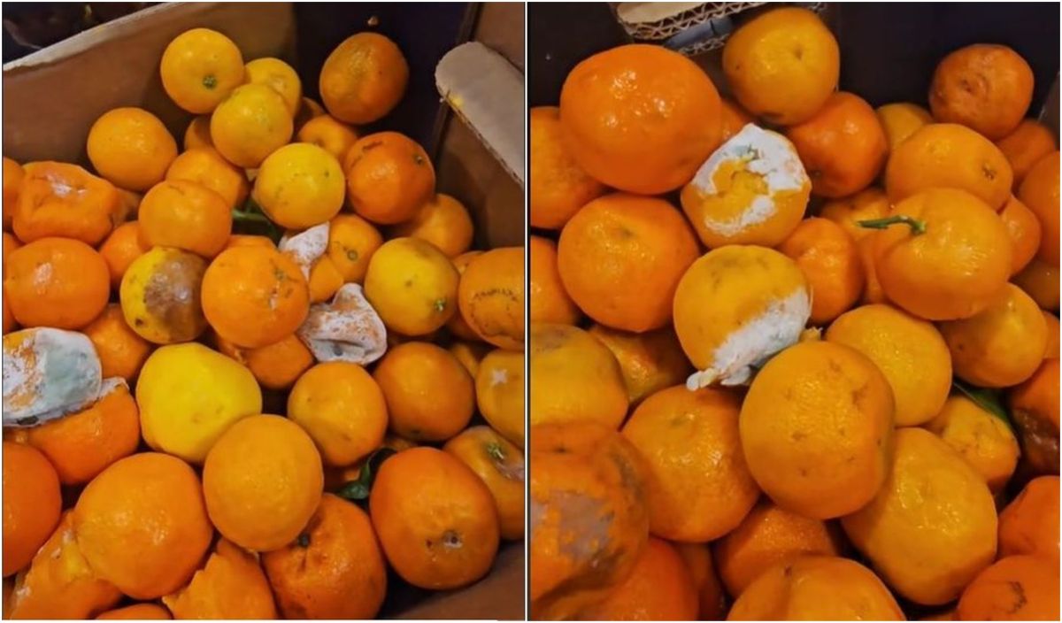 Kaufland vinde clementine cu 50 de bani kilogramul, 89% reducere: „Nu cred că poate alege cineva ceva”