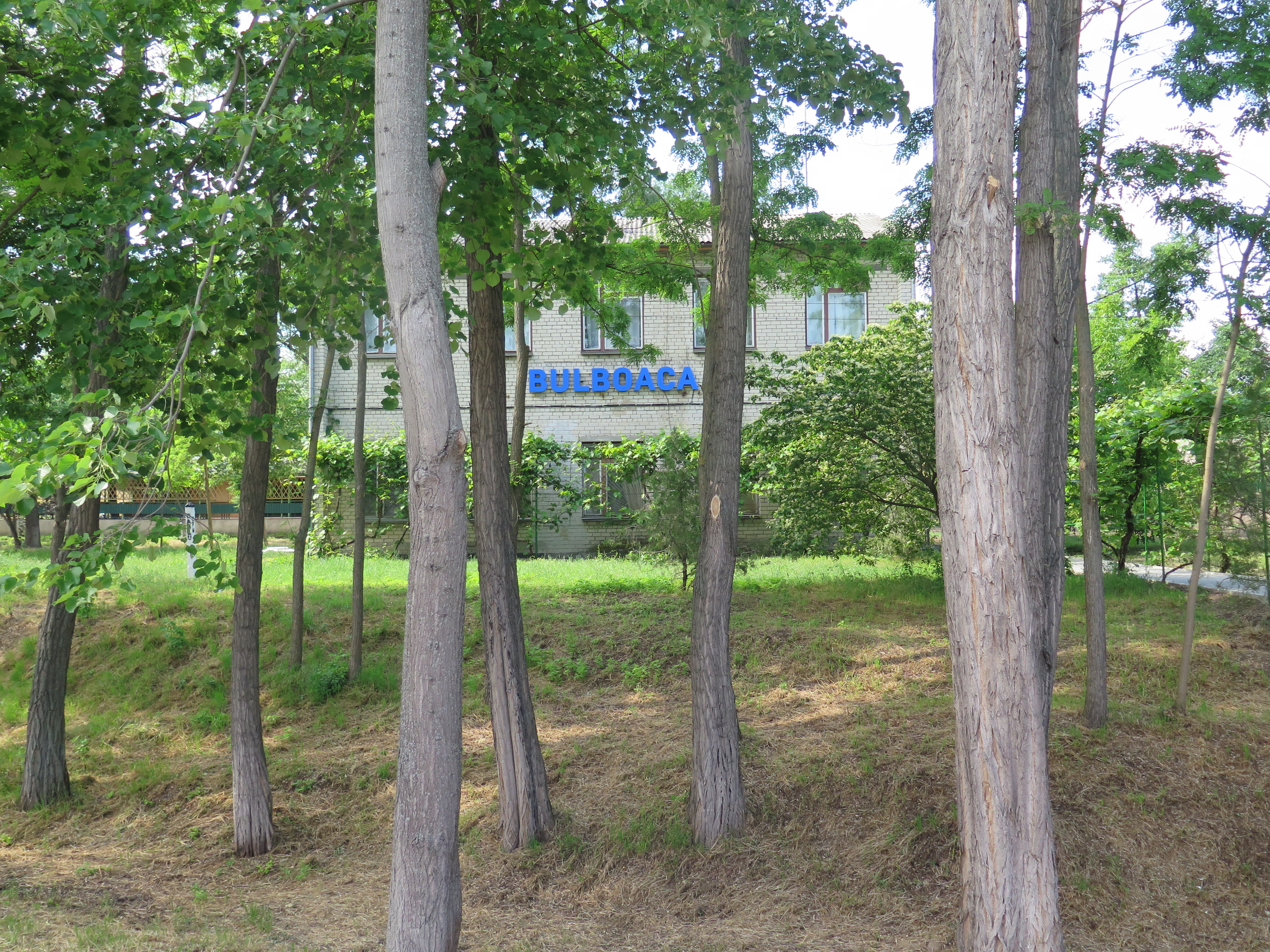 REPORTAJ LA CASTELUL MIMI. Liderii Uniunii Europene au ajuns în Republica Moldova și vor vedea locul de unde le vin oamenii care le muncesc  pe câmpuri, pe șantiere și în locuințe