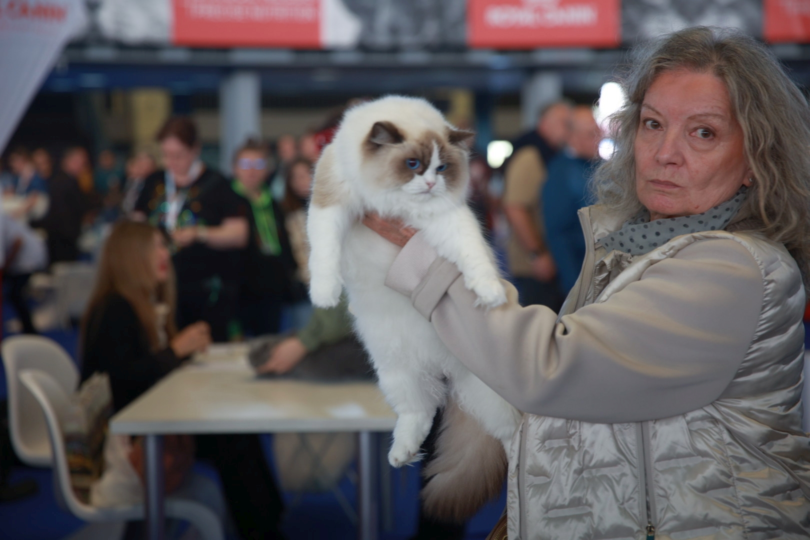Libertatea a mers la Campionatul Mondial Felin. Bucureștiul, capitala mondială a pisicilor: peste 750 de feline din întreaga lume au strălucit la Romexpo