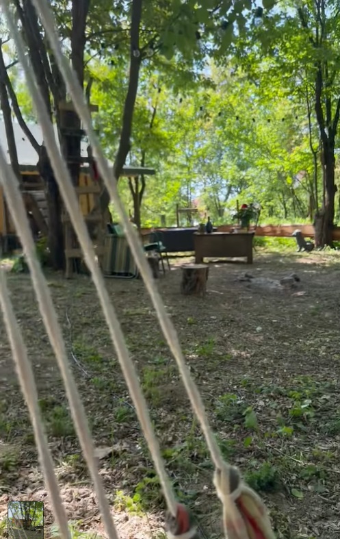 Cum arată cabana din pădure a Mihaelei Bilic după ce i-a pus acoperișul. Și-a amenajat și curtea, unde are hamac