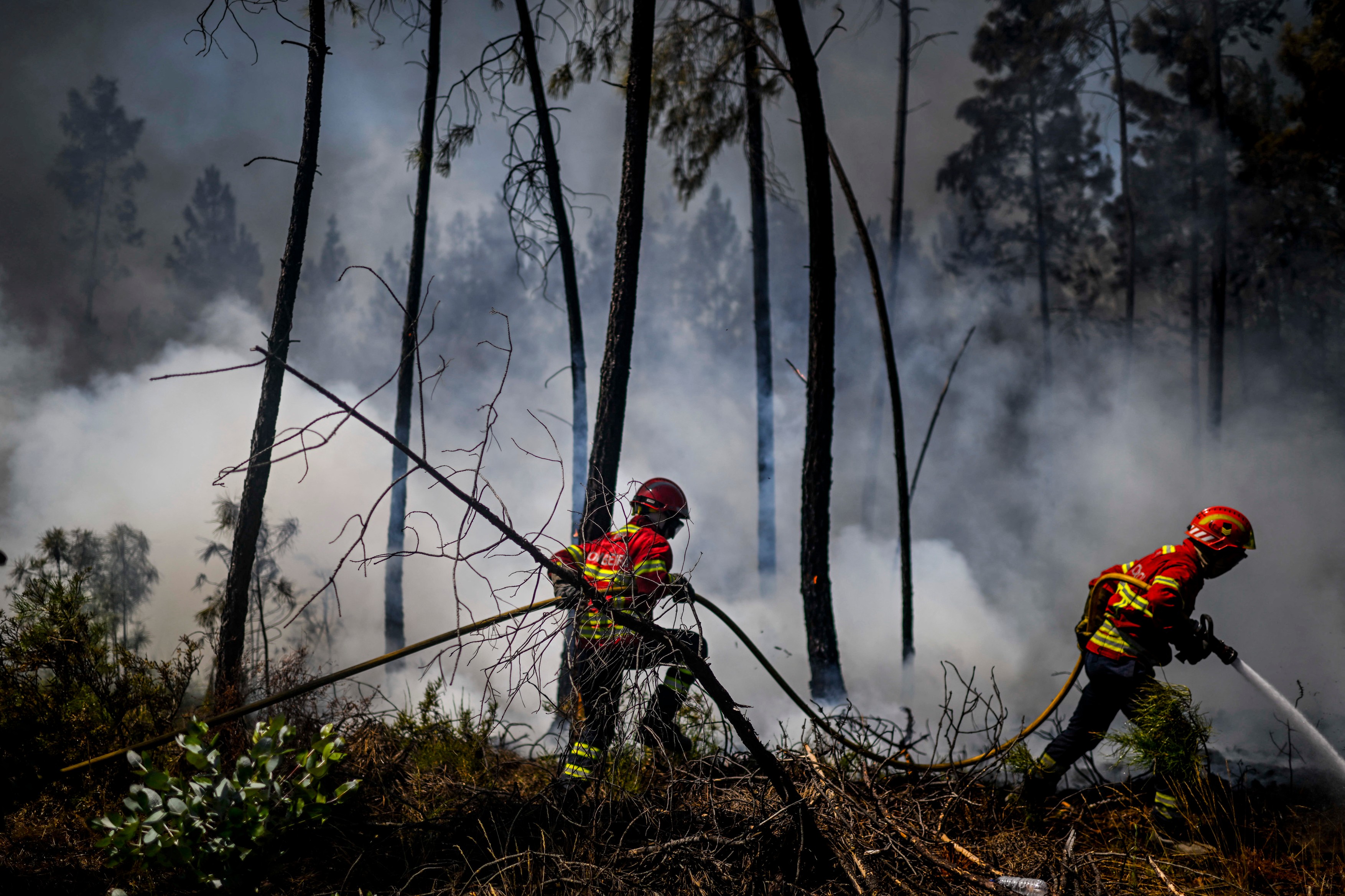 Incendii masive de vegetație în Portugalia, în mijlocul unui nou val de caniculă. Peste 1.400 de oameni au fost evacuați