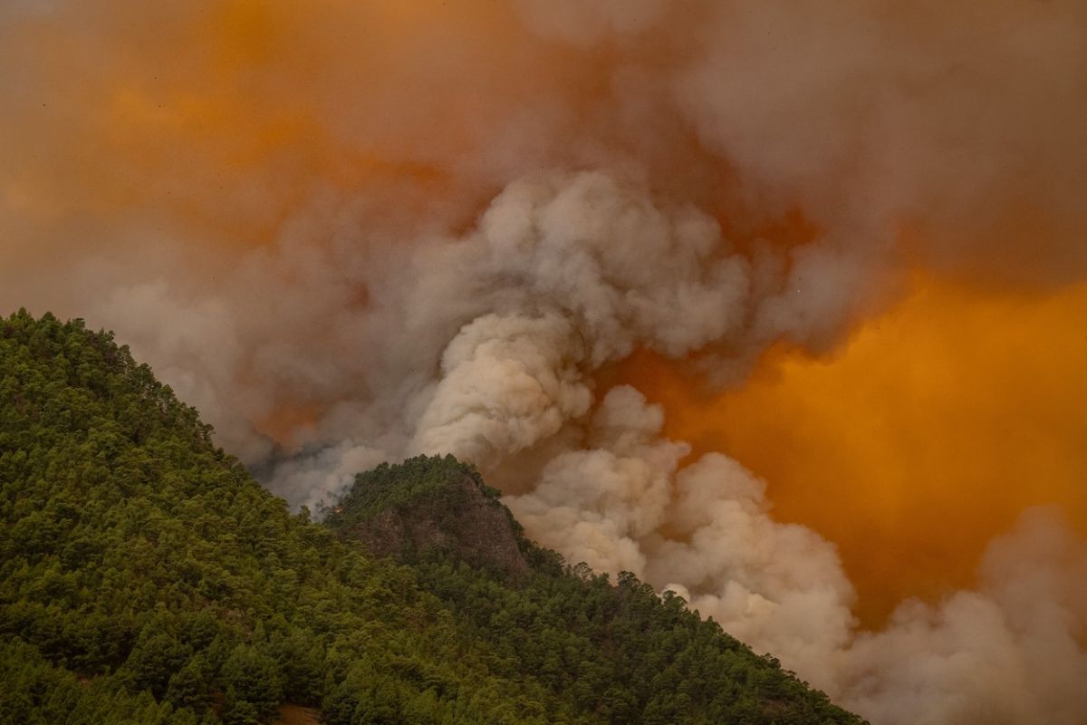 Incendiu de vegetație pe insula Tenerife. Cinci sate au fost evacuate. Focul „este puternic și se află într-o zonă complicată”