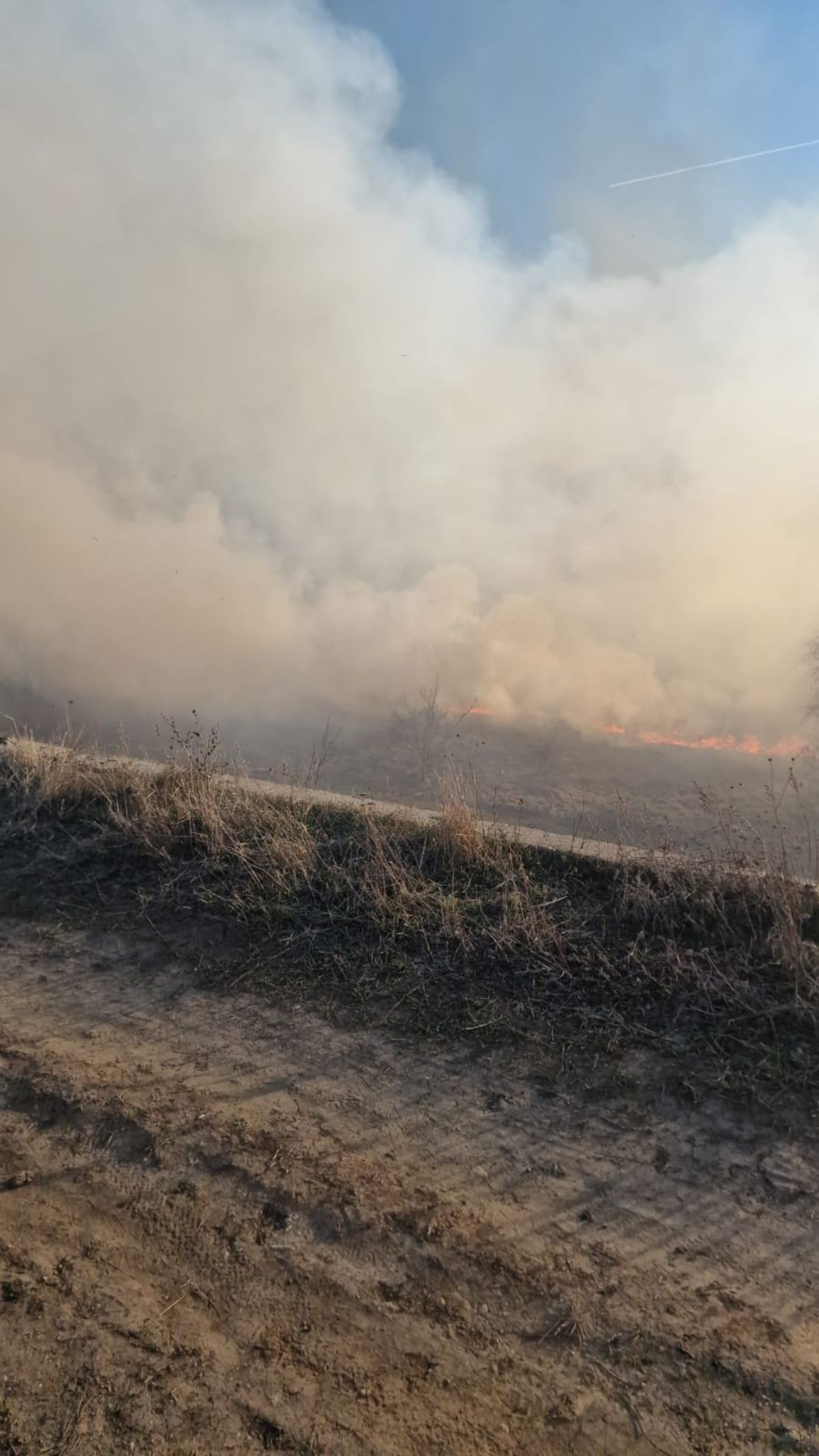 Incendiu de proporții în Delta Văcărești. A fost transmis mesaj RO-Alert