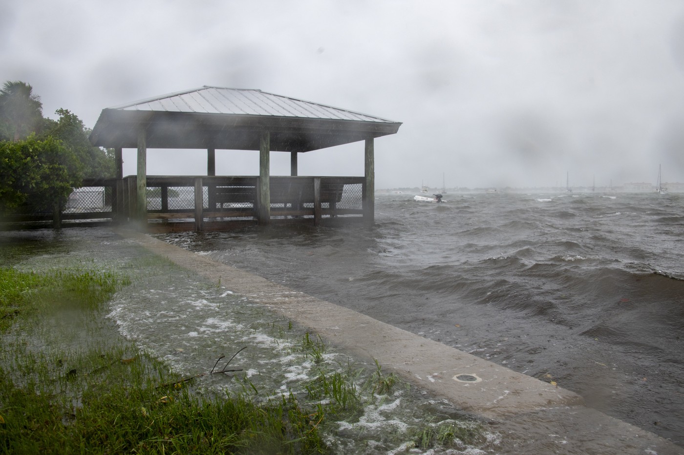 Stare de urgență și ordine de evacuare în Florida, înaintea furtunii tropicale Debby: „Luați situația în serios!”. FOTO