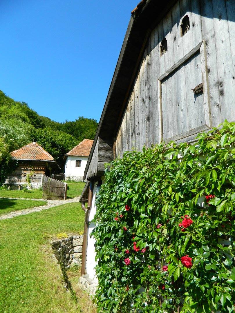 The New York Times a vizitat înainte de încoronare casa din Transilvania a regelui Charles, una dintre cele 56 de cabane, 12 case și 7 palate pe care acesta le deține