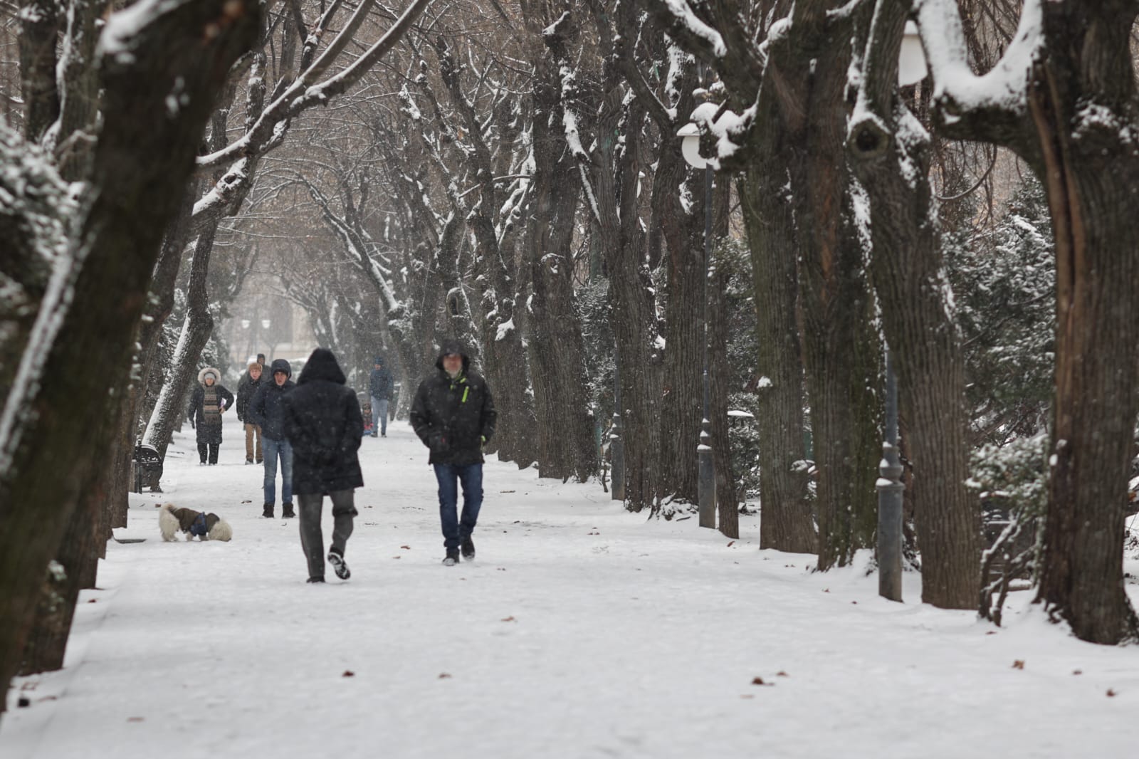 Cum arată Bucureștiul după prima ninsoare din această iarnă