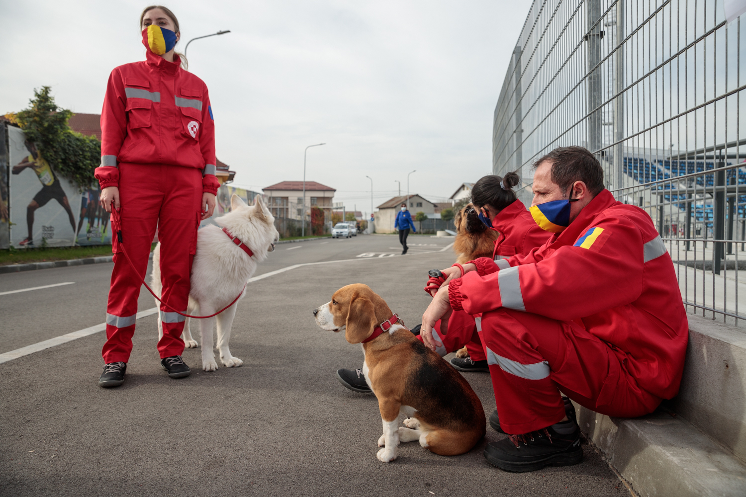 Când cel mai bun prieten al omului îți salvează viața. Cum se pregătesc câinii și voluntarii pentru eventuale catastrofe