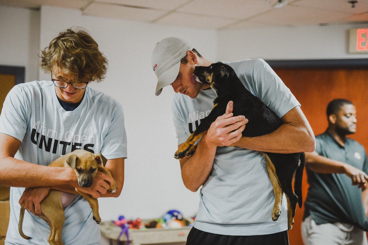 Alexander Zverev jr. a adoptat un cățel la Miami | GALERIE FOTO&VIDEO