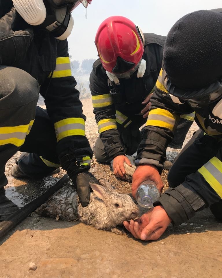 Imagini video emoționante cu pompierii români ovaționați în Grecia: „Luptă de parcă incendiile ar pune în pericol casele lor”