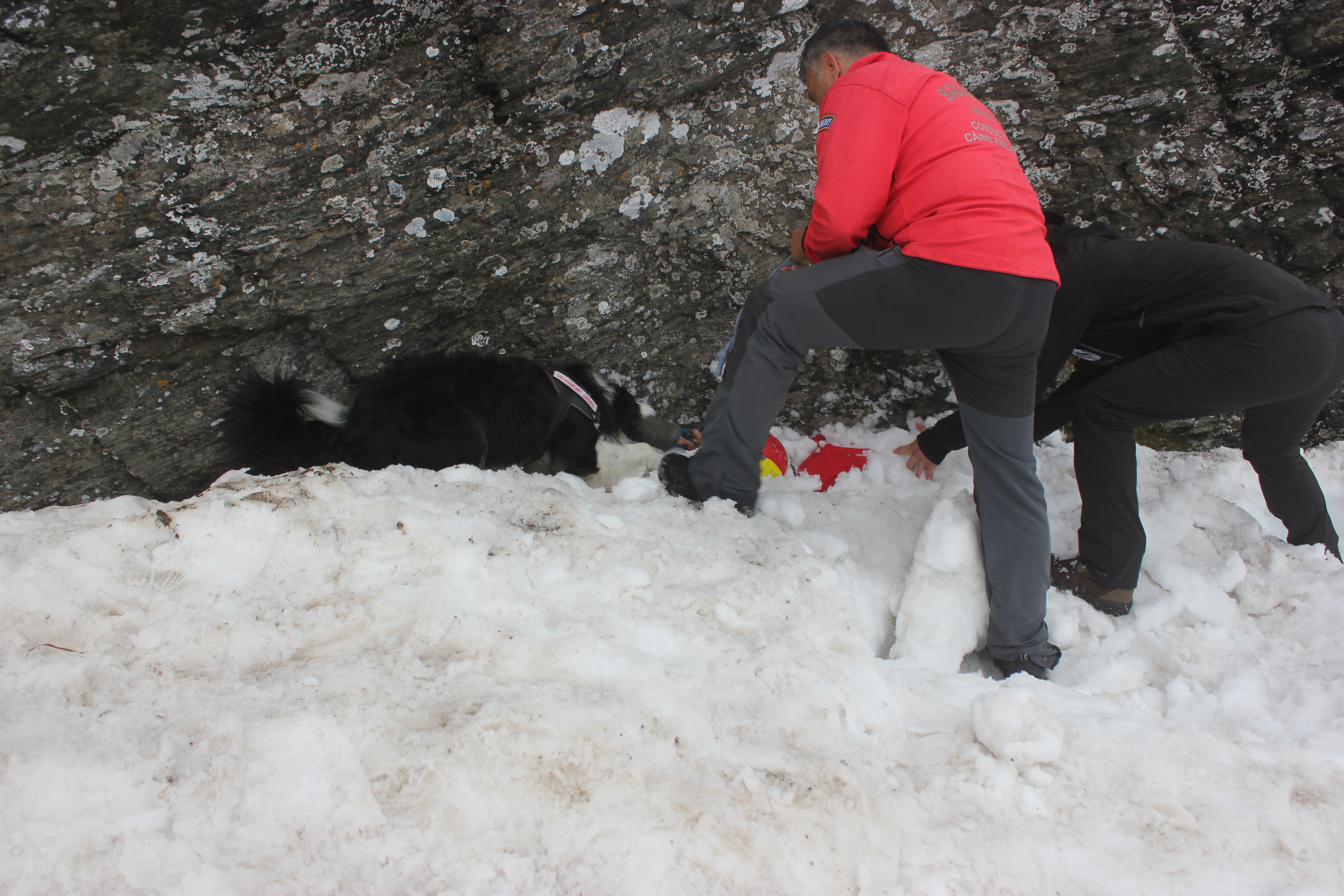 REPORTAJ/Povestea câinilor de avalanșă Helios și Dara sau încrederea de nezdruncinat dintre om şi animal: "Unde merg eu, merg şi ei"/ FOTO