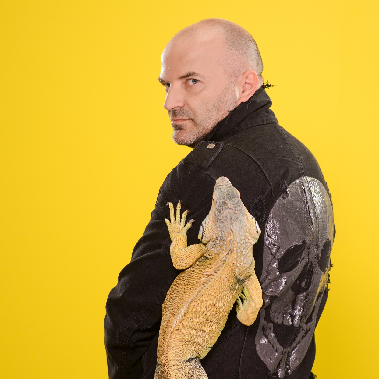 “Acces Direct” și „Xtra Night Show” revin la Antena 1.  Simona Gherghe va avea un coleg de prezentare, iar Vika Jigulina, in echipa lui Dan Capatos | FOTO